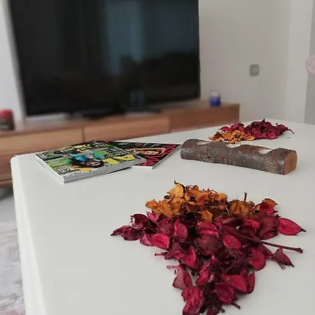 Apartment Neff Antalya